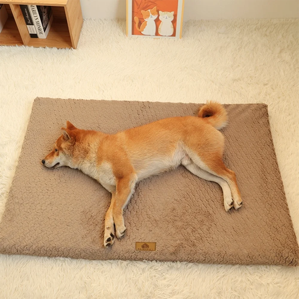 Cama ortopédica - funda lavable extraíble