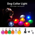 Collar LED recargable para perros