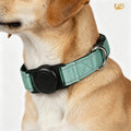 Collar rastreador con soporte para AirTag