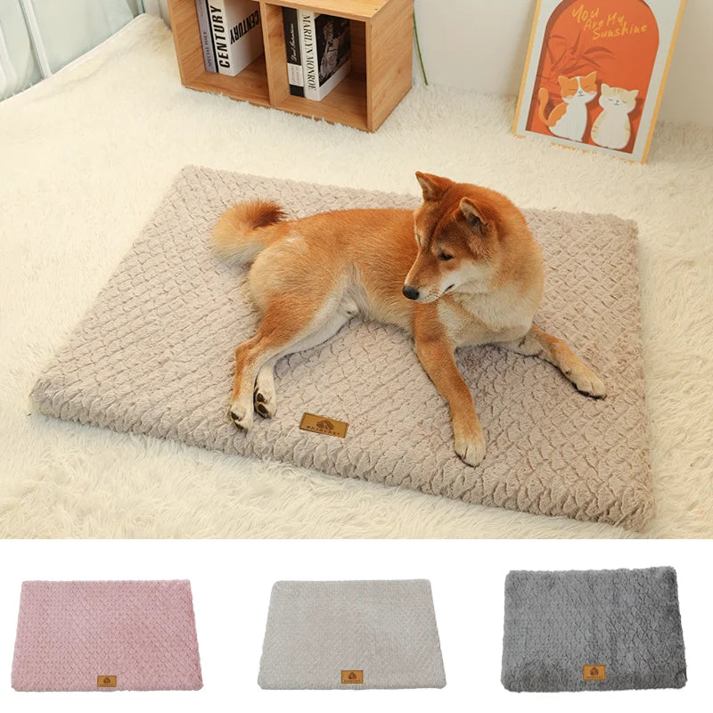 Cama ortopédica de espuma viscoelástica para perro