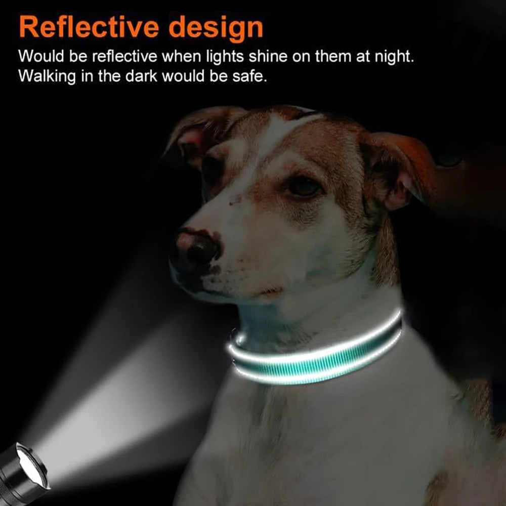 Collar rastreador con soporte para AirTag - uso