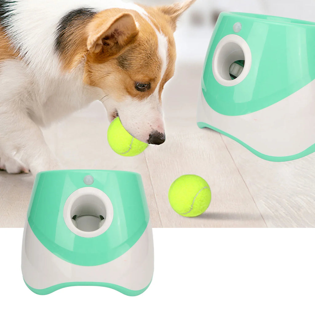 Lanzador automático de pelotas recargable