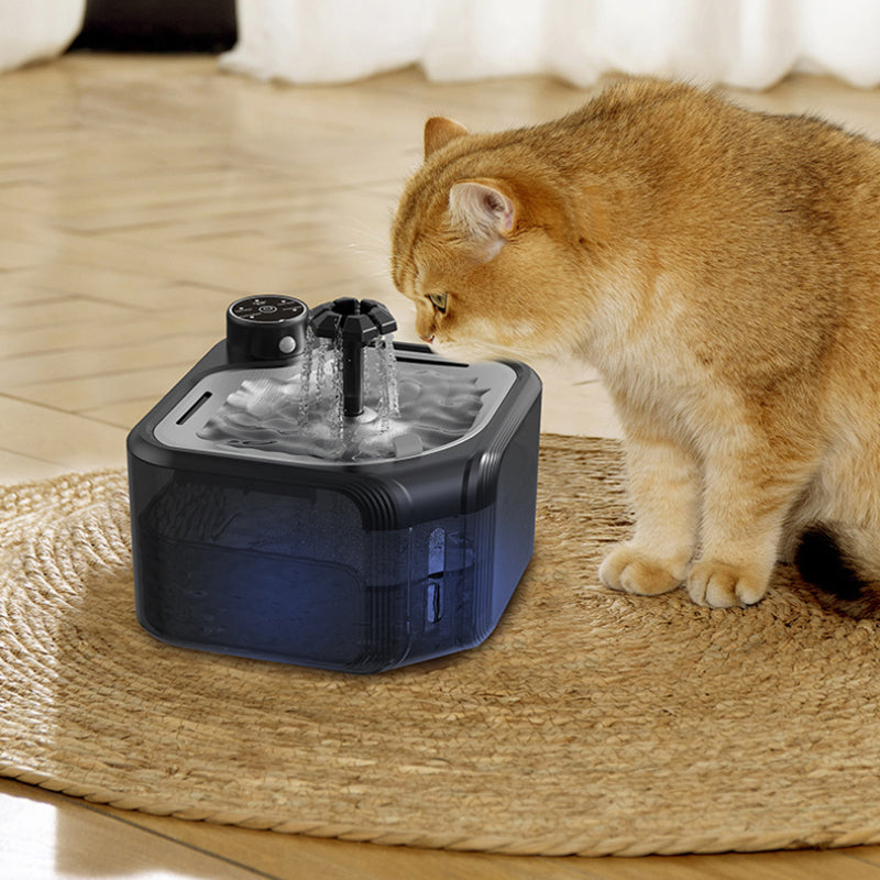 Smart Filtered Water Fountain